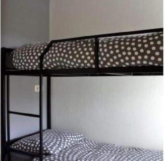 Neureichenau Apartamento | Appartement Altreichenau