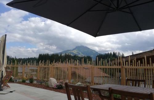 Going am Wilden Kaiser Apartamento | Appartement Viktoria