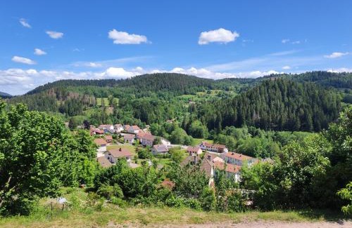 Le Tholy Apartamento | Appartement au centre du tholy pour 5 personnes maximum