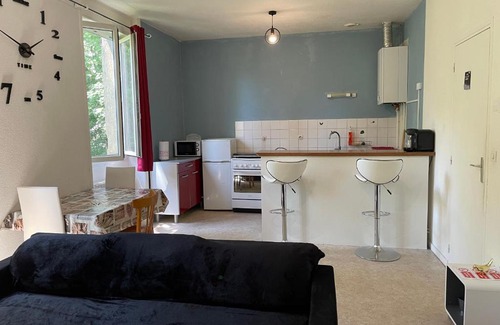 Roanne Apartamento | APPARTEMENT AU CENTRE VILLE de ROANNE 50 m²
