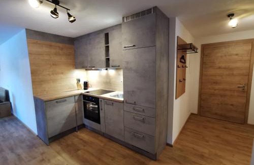 Holzgau Apartamento | Appartement Bergfuier