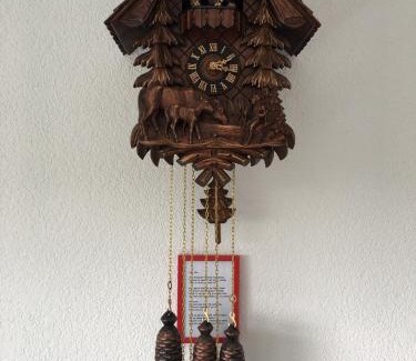 Rickenbach Apartamento | Appartement Bergwaerts