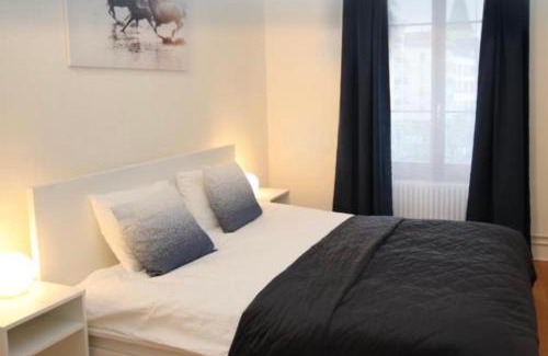 Paquis Navigation Apartamento | Appartement business