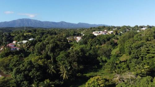 Circuit 1C1 Apartamento | Appartement Camillia, 41m2 et son jardin privatif.