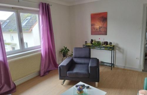 Kertzfeld Apartamento | Appartement centre Alsace