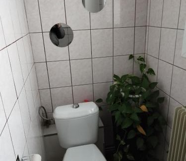 Kertzfeld Apartamento | Appartement centre Alsace