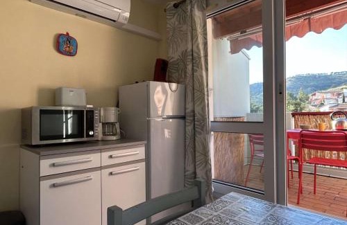 Cerbere Apartamento | Appartement climatisé 2 pièces, piscine, animaux acceptés, parking, proche mer - FR-1-225C-152