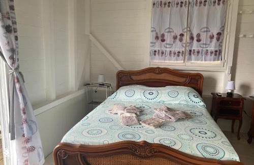 Riviere-Pilote Apartamento | Appartement confortable à Rivière Pilote 42 m² avec vue