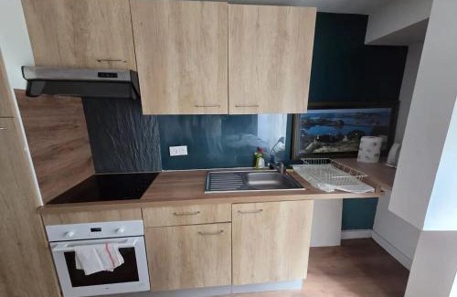 Rive Droite Apartamento | Appartement confortable à Brest, 40 m² avec 2 chambres