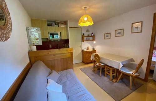 Chatel Apartamento | Appartement cosy à Châtel - 4 pers, balcon, parking, proche télécabine, accès WIFI, animaux admis - FR-1-198-265