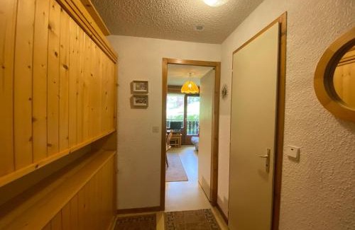 Chatel Apartamento | Appartement cosy à Châtel - 4 pers, balcon, parking, proche télécabine, accès WIFI, animaux admis - FR-1-198-265