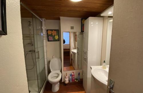 Cohennoz Apartamento | Appartement cosy 5 pers, balcon, pied des pistes, cœur de Cernix, parking sécurisé - FR-1-733-149