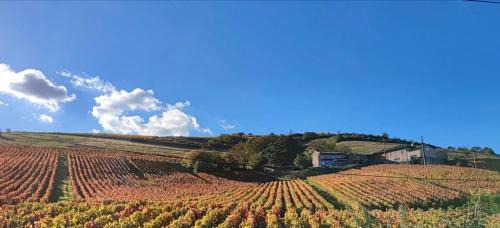 Jullie Apartamento | Appartement cosy et rénové au cœur des vignes du Beaujolais