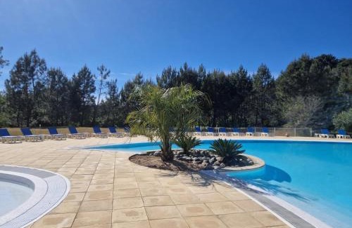 Biscarrosse Apartamento | Appartement cosy sous pinède lac de Biscarrosse rénové