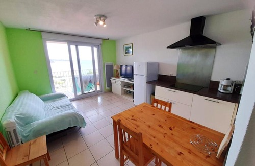 Banyuls-sur-Mer Apartamento | Appartement d'une chambre avec vue sur la mer jardin et wifi a Banyuls sur Mer a 2 km de la plage