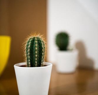 Nimes City Centre Apartamento | Appartement Denim