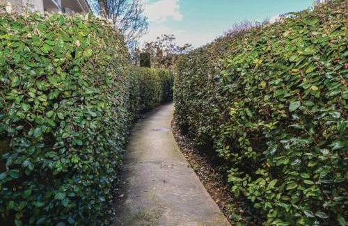 Uzes Apartamento | Appartement des amoureux