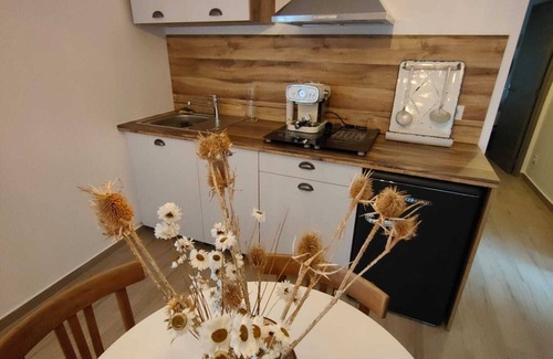 Ayse Apartamento | Appartement "entre Vignes et Montagnes