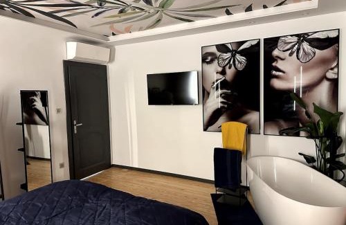 Bischheim Apartamento | Appartement fabuleux 100 m2 parking privatif entièrement climatisé