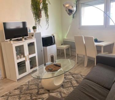 Saint-Michel - Nansouty - Saint-Genes Apartamento | Appartement fonctionnel centre ville