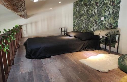 Nimes City Centre Apartamento | Appartement Jungle climatisé Centre Ville