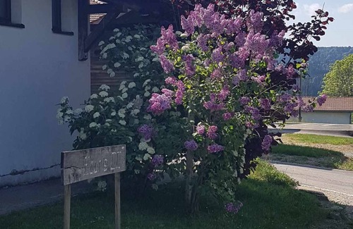 La Chaux-des-Breuleux Apartamento | Appartement Lai Mâjenatte