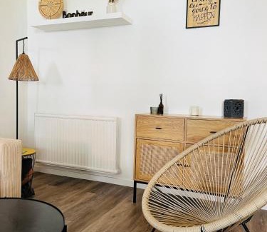 Quartier Pasteur Apartamento | Appartement Le Renard - F2 parking calme