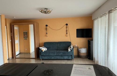 La Bocca Nord Apartamento | Appartement Les Palmiers - Vacances Cote d'Azur
