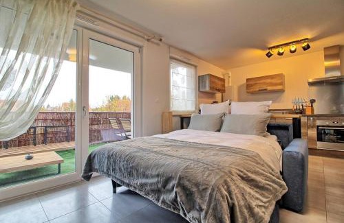 Selestat Apartamento | Appartement - Note Boisée - Terrasse & Parking