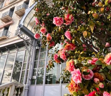 Menton Apartamento | Appartement Ombragé 44m2 Riviera Palace Belle-Epoque, Restomod et Literie Prestige