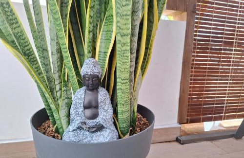 Calebasses Apartamento | Appartement Pamplemousses
