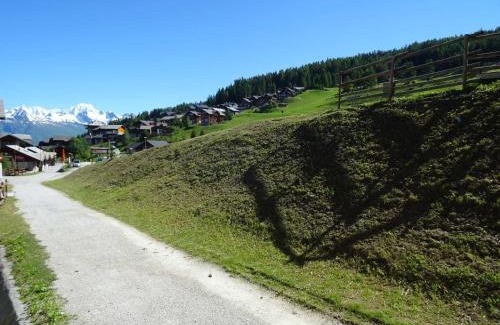 Vallandry Apartamento | Appartement Peisey-Vallandry, 1 pièce, 4 personnes - FR-1-411-311