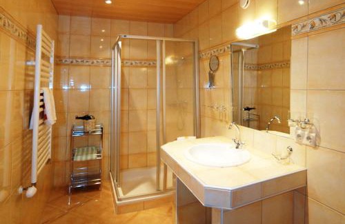 Filzmoos Apartamento | Appartement Pilzhof