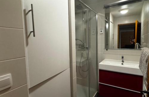 Les Carroz-d'Araches Apartamento | Appartement rénové 2 pièces, 6 pers, pieds des pistes, balcon est, proche commerces - FR-1-572-9