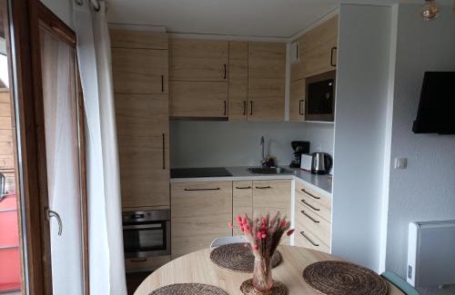 La Joue du Loup Apartamento | Appartement rénové 2 pièces 6 pers, parking, équipements complets - FR-1-504-160