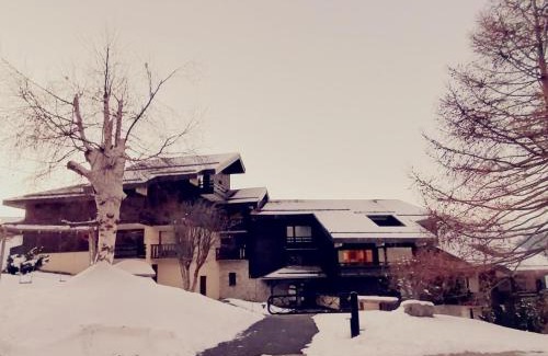 Montalbert Apartamento | Appartement Rénové, Accès Direct aux Pistes, Balcon, Parking Gratuit, 5 Pers. - FR-1-181-2473