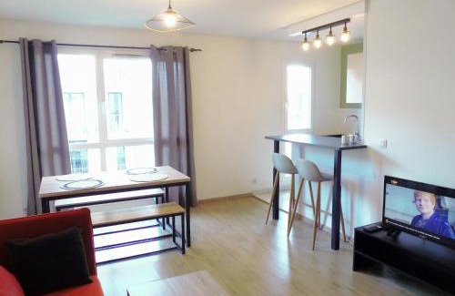 Saint-Maurice Pellevoisin Apartamento | Appartement Saint Maurice avec parking