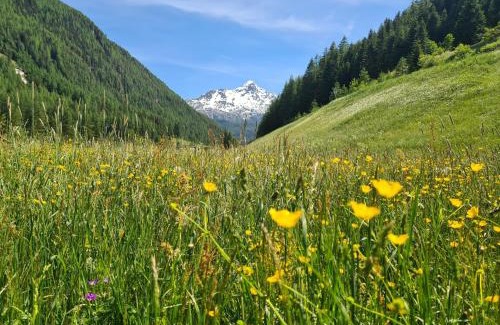 Soelden Apartamento | Appartement Skorpion
