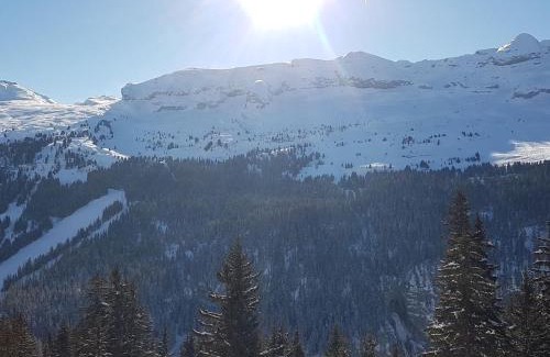 Flaine Apartamento | Appartement spacieux avec accès direct aux pistes, piscine, spa et WIFI – Flaine Montsoleil - FR-1-425-120