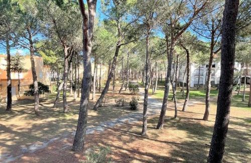 Argeles Plage Apartamento | Appartement studio cabine - Argelès-sur-Mer AR530-027