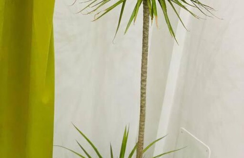 Lome Apartamento | Appartement T 2 : Résidence LES 11 PLURIELLES