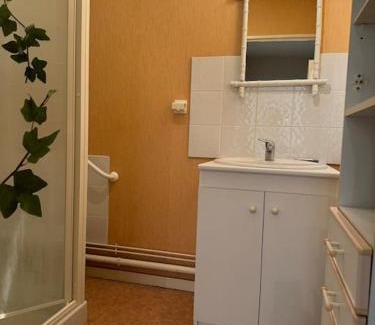 Chinon Apartamento | Appartement T3 bord de la Vienne