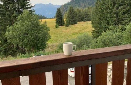Le Praz de Lys Apartamento | Appartement Tout Confort Résidence les Terrasses du Mont Blanc au Praz de Lys