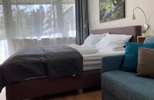 Sankt Englmar Apartamento | Appartement Waldkauz