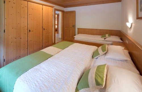 Fieberbrunn Apartamento | Appartementhaus Trixl