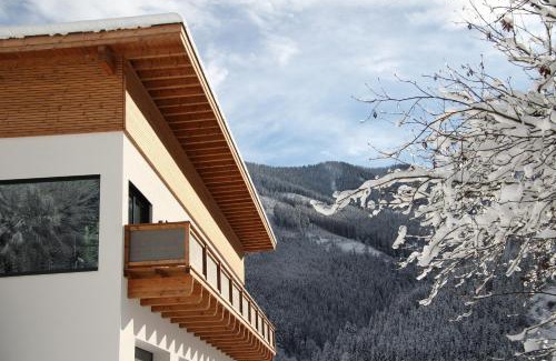 Viehhofen Apartamento | Appartements Moser