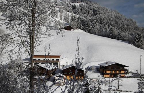 Viehhofen Apartamento | Appartements Moser