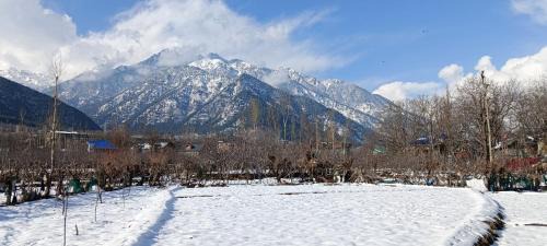 Pahalgam Apartamento | Apple Garden view and restaurant
