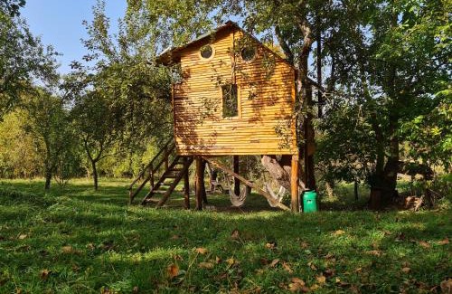 Valea Mare-Pravat Otro | Apple Tree Cabin (Friendship Land)