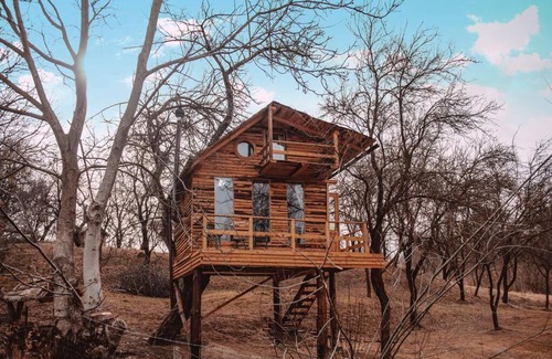 Valea Mare-Pravat Otro | Apple Tree Cabin (Friendship Land)